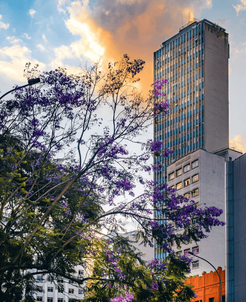 edifício acácia curitiba