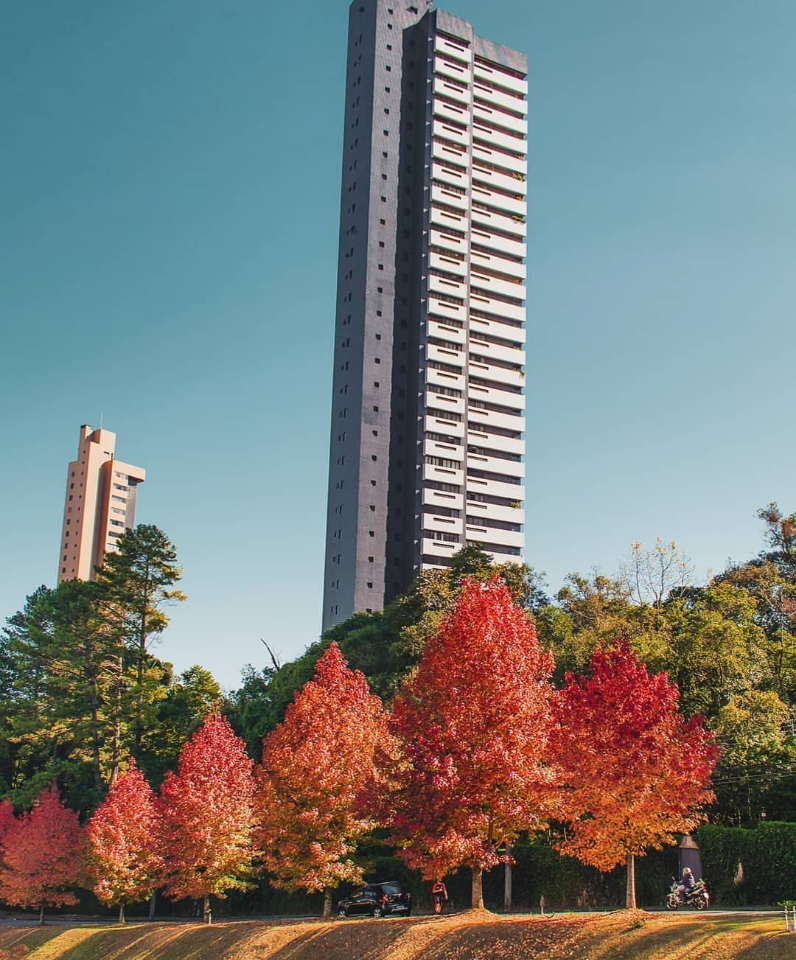 prédios mais altos de curitiba